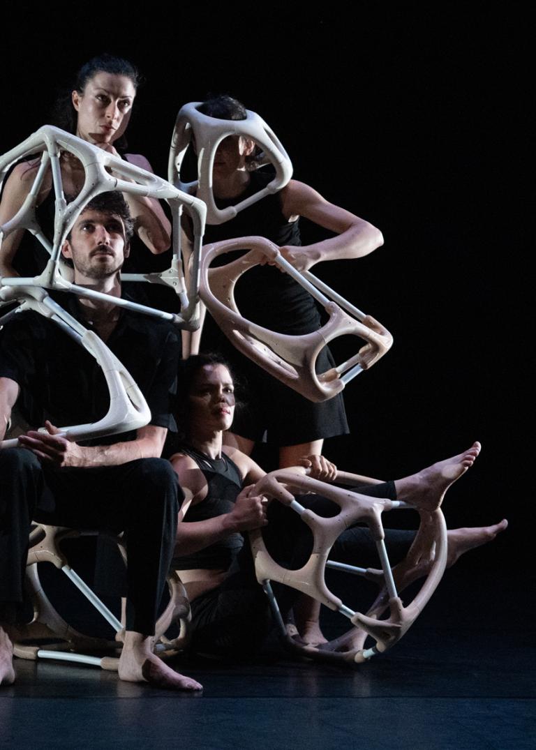 Starting with the Limbs av Annie Hanauer