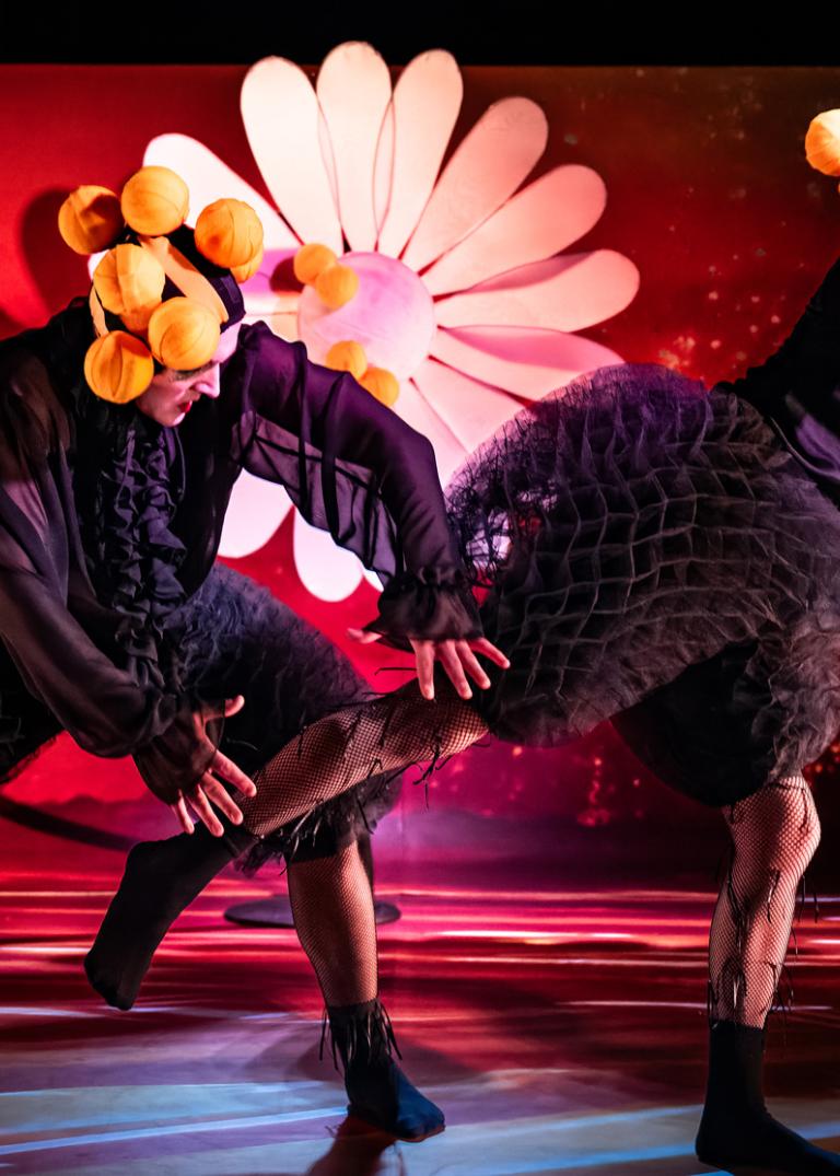 Två dansare i svarta skjortor, puffiga svarta knäbyxor och gula bollar fästa på sina huvuden dansar framför en enormt stor prästkrage i föreställningen Honey Honey.