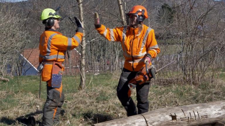Två skogshuggare i orange arbetsklädsel med hjälmar ger varandra en high five i ett skogslandskap.